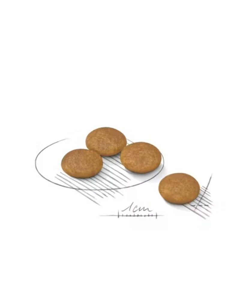 ROYAL CANIN® Small Sensitive Skin Care Dry Dog Food - Image 2