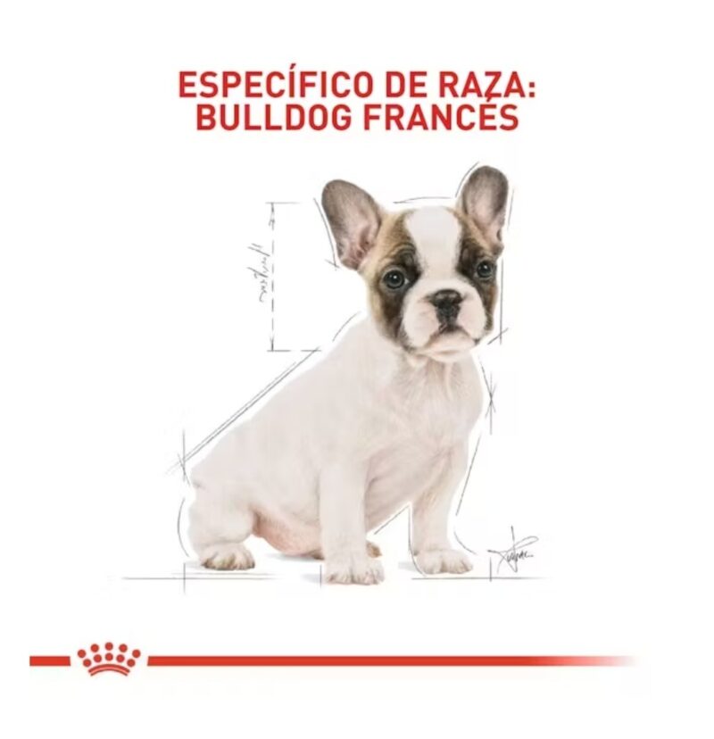 ROYAL CANIN® French Bulldog Puppy 3 lbs - Image 3