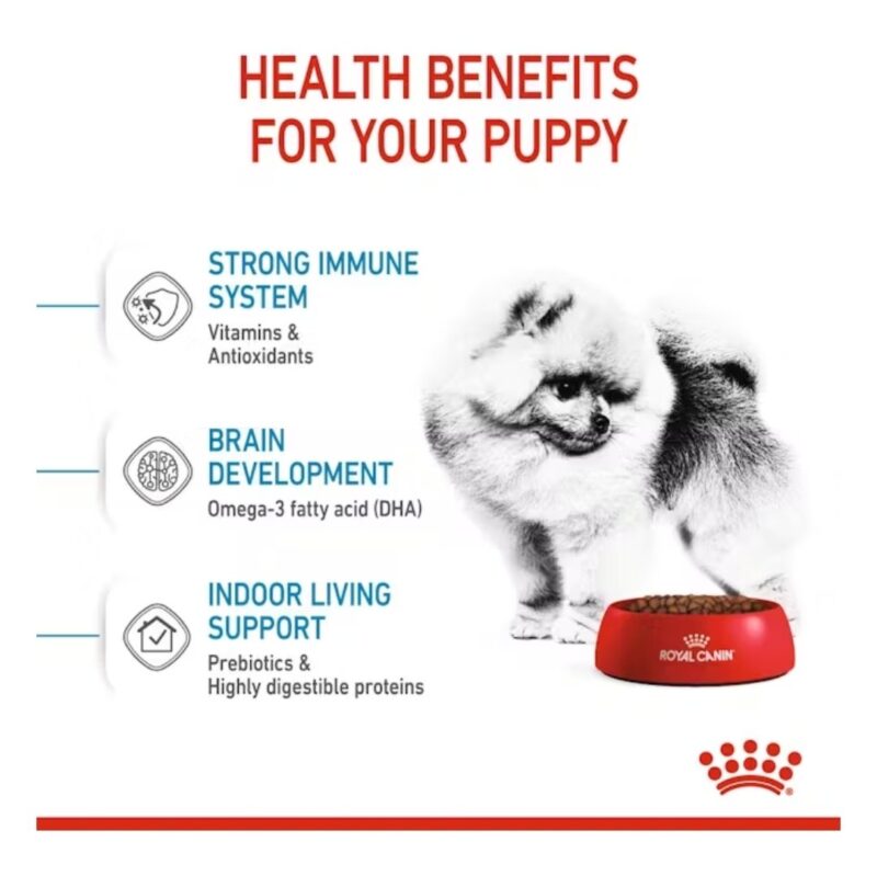 ROYAL CANIN® Small Indoor Puppy 2.5 lbs - Image 3