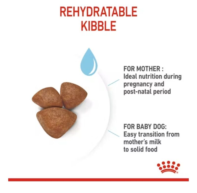 ROYAL CANIN®Small Starter Mother & Babydog 14 lbs - Image 3