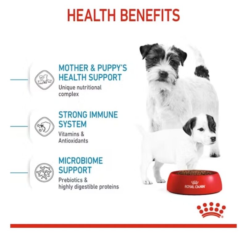 ROYAL CANIN®Small Starter Mother & Babydog 14 lbs - Image 2