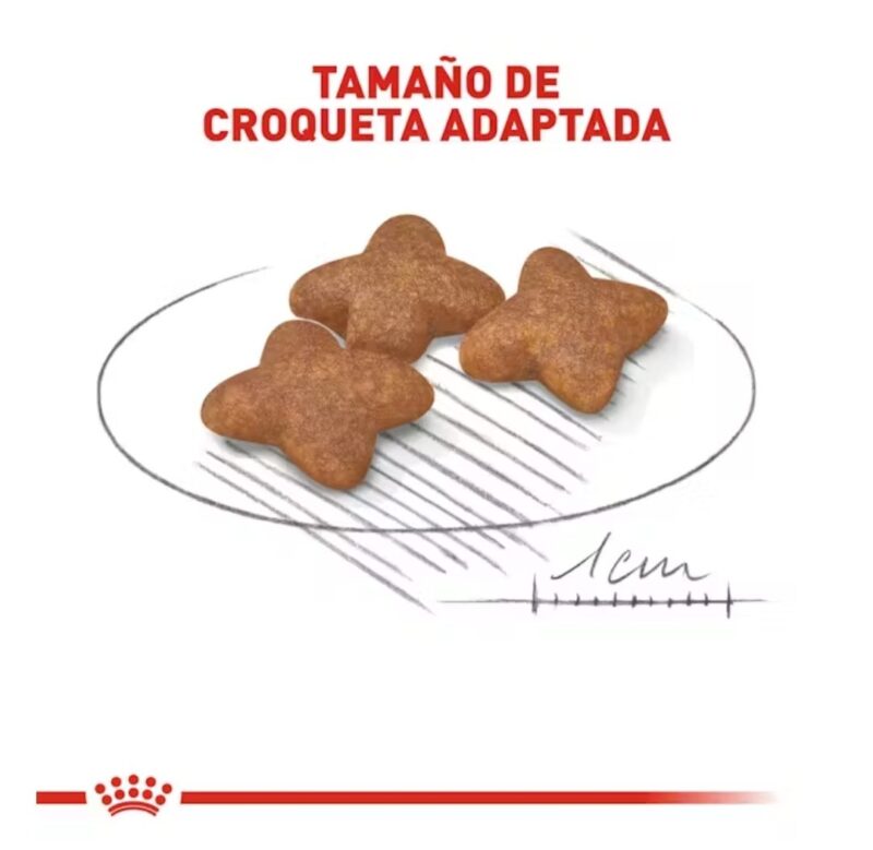 ROYAL CANIN® Small Adult 2.5 lbs - Image 2