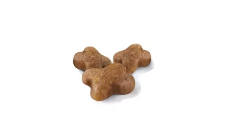 ROYAL CANIN® Kitten 7 lbs - Image 2