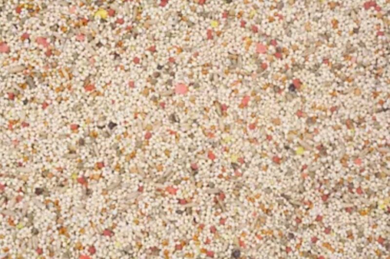 Higgins Vita Seed PARAKEET 2.5 LBS - Image 2
